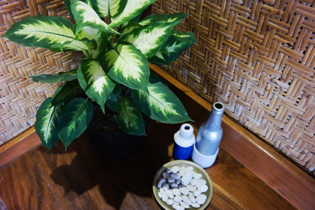 坎古 特希拉之家酒店 外观 照片